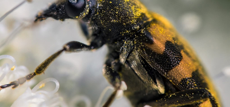 Bježi! Via! - kampanja protiv bolesti ovisnosti