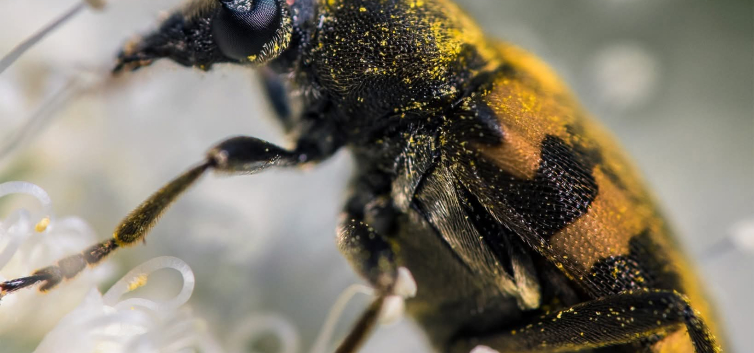 Bježi! Via! - kampanja protiv bolesti ovisnosti